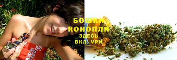 скорость Богородск
